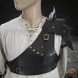 Ensemble Cache Coeur & Spalière Demonis Brun